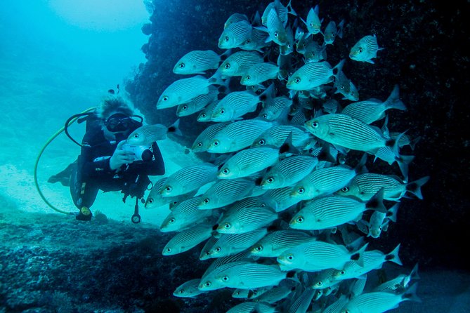 Scuba Diving with a 5-Star PADI Center in Puerto Vallarta - Cold water, visibility, and comfort: what to pack for the Pacific version