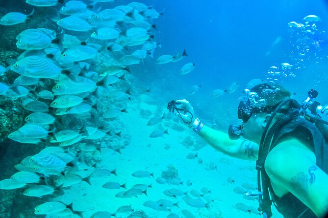 Scuba Diving with a 5-Star PADI Center in Puerto Vallarta - Price and surprise-fee reality: what $119 can become