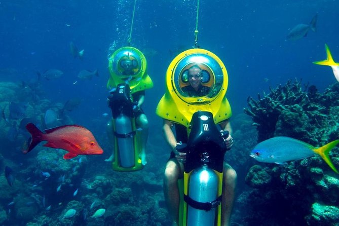 Scuba Doo Diving Experience in Punta Cana - The glass-bottom boat ride: seeing fish without getting fully wet