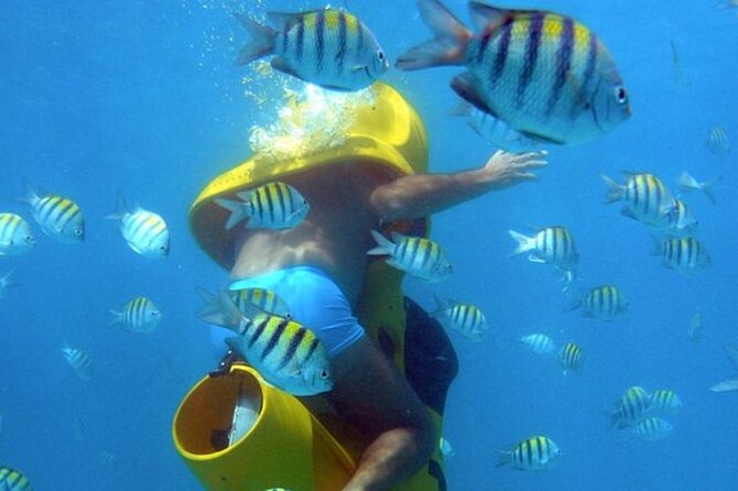 Scuba Doo - Diving Scooters in Punta Cana - Quick hits before you go