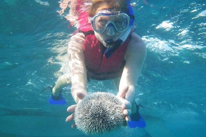 Scuba Doo Underwater Scooter in Punta Cana (Half Day) - Helmet-Bubble Breathing: How the Scuba Doo Works With a Guide