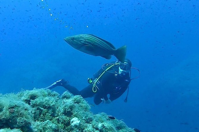 Scuba Experience - What This Underwater Session Is Really Like Near Catania
