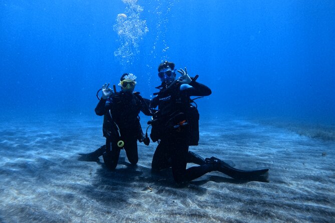 Scuba Experience in Tenerife with Guide - Key things that make this Try Scuba in Tenerife worth it