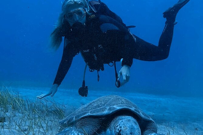 Scuba Experience in Tenerife with Guide - Try Scuba in Tenerife: how the 3-hour morning is paced