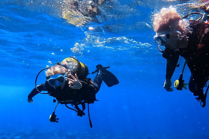 Scuba Experience in Tenerife with Guide - Gear-up and shallow-water practice: confidence before anything bigger
