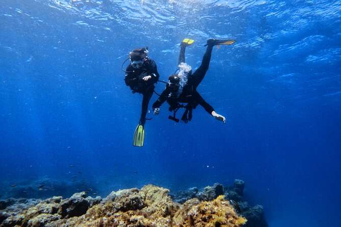 Scuba Experience in Tenerife with Guide - The safety briefing that helps nervous first-timers relax