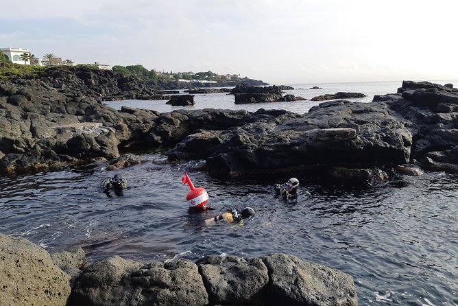 Scuba Experience - The Underwater Highlights: Ancient Lava Flows Nearby