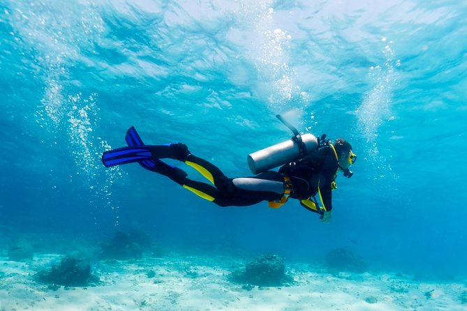 Scuba Referral Dives & Beach Club with Transportation In Riviera Maya - Transfers, Timing, and Why the Logistics Matter
