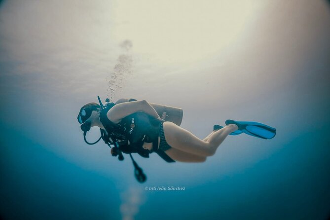 Scuba Referral Dives & Beach Club with Transportation In Riviera Maya - Gear, Wetsuit, and the Comfort Checklist
