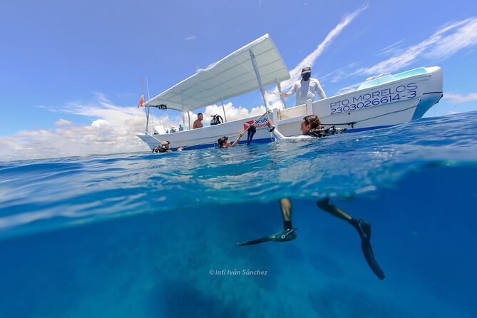 Scuba Referral Dives & Beach Club with Transportation In Riviera Maya - Safety Rules You Should Actually Read