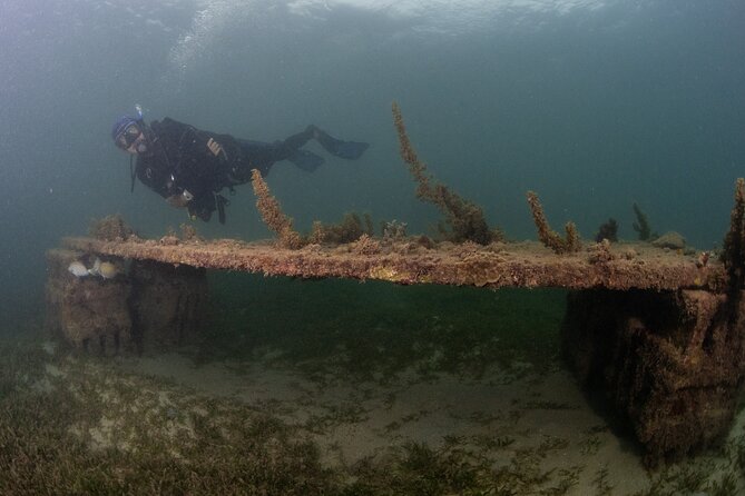 Scuba Tour for Certified Divers in San Juan - Small-group format: more attention, less chaos