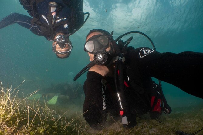 Scuba Tour for Certified Divers in San Juan - Meeting at Scuba Dogs: what to do before you hit the water