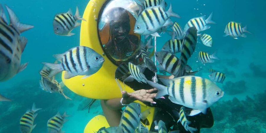 Scubadoo Punta Cana Diving Adventure - Where La Altagracia Fits Into Your Punta Cana Day