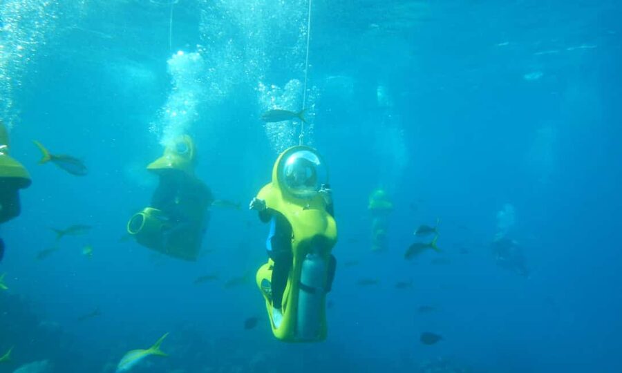Scubadoo Punta Cana Diving Adventure - Glass-Bottom Boat Start: You Can See the Reef Before You Go In
