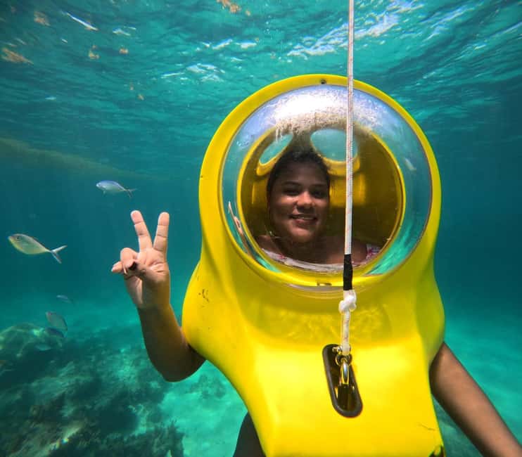 Scubadoo Punta Cana Diving Adventure - Marine Life Viewing: What You’re Likely to Notice