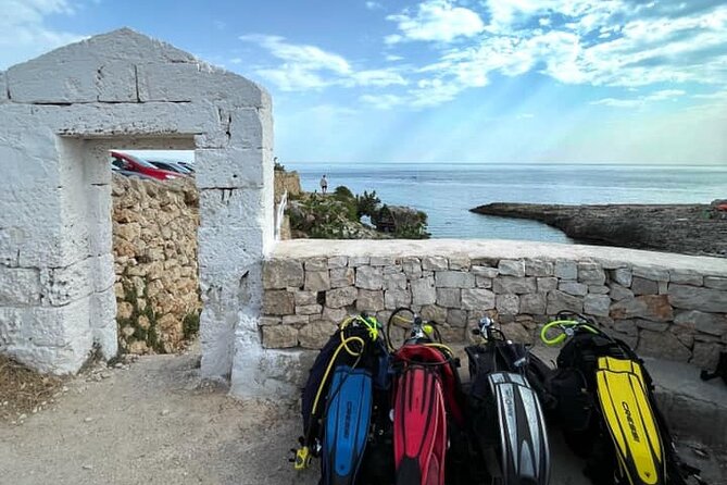 Sea Baptism Scuba Experience in Polignano a Mare - What you’ll actually see: fish, octopus, and the “wait, that’s real” moment