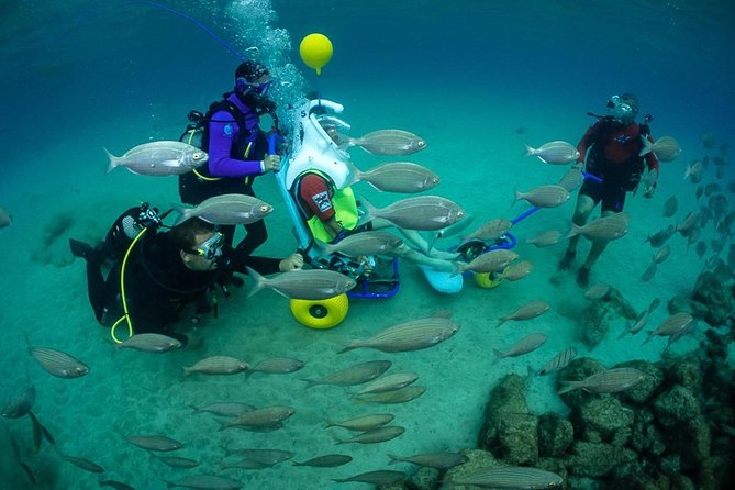 Sea Trek and Diving for handicaped people - Key things to know before you go