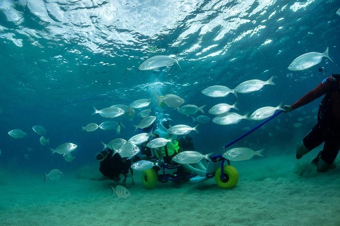 Sea Trek and Diving for handicaped people - How the water-adapted wheelchair changes the whole point