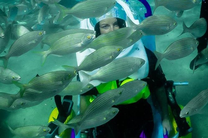 Sea Trek and Diving for handicaped people - Price in context: what $208.23 really buys you