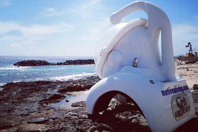 Sea Trek Diving Experience in Costa Teguise - Your time slots: 9:30am or 3:30pm, and why that matters