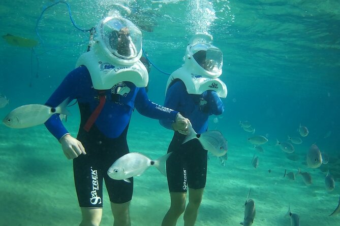 Sea Trek Diving Experience in Costa Teguise - Price and value: is $96 for 40 minutes fair?