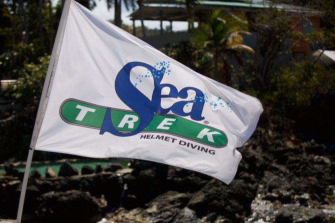 Sea Trek Helmet Dive at Coral World Ocean Park - Price and Value: Is $119 a Good Deal?