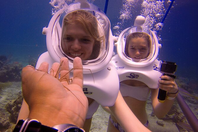 Sea Trek Helmet Dive at Coral World Ocean Park - Who Should Go (and Who Should Skip It)