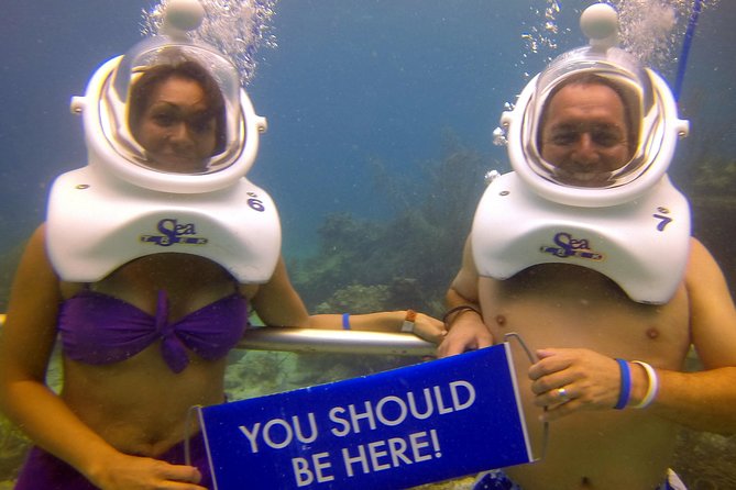 Sea Trek Helmet Dive at Coral World Ocean Park - The Underwater Helmet Trek: What the Guided Trail Feels Like