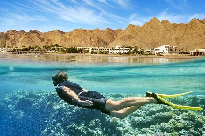 Sea Trip Orange Bay Island & Professional Scopa Diving -Hurghada - Who This Tour Suits Best