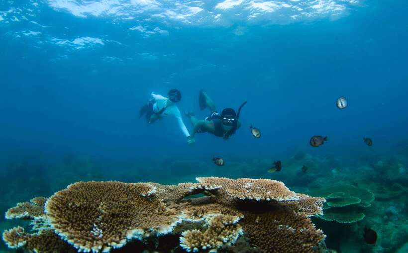 Semporna: Explore 3 Islands Tour Snorkel or Dive & Lunch - Semporna in one day: the rhythm of a speedboat island tour