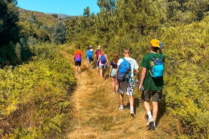 Serra D’Arga Hike, Dive & Dine Like A Local in a Secret Spot - Key things you’ll notice on this Serra D’Arga hike, swim, and dinner
