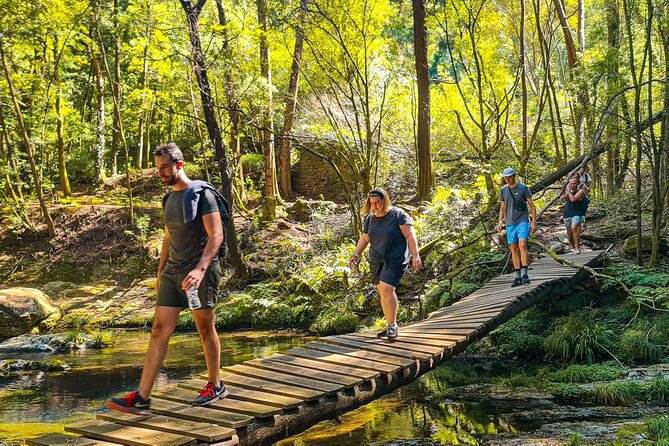Serra D’Arga Hike, Dive & Dine Like A Local in a Secret Spot - Water stops: Pincho Lagoon and the final waterfall swim moment