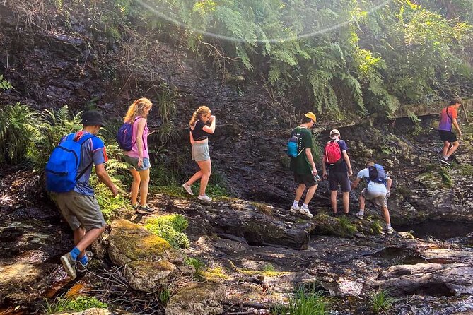 Serra D’Arga Hike, Dive & Dine Like A Local in a Secret Spot - Who should book this Serra D’Arga hike, swim, and dinner?