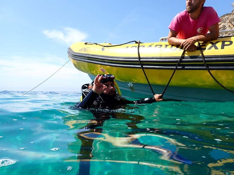 Sesimbra: Arrábida Marine Reserve Scuba Diving Experience - Key highlights (quick read)