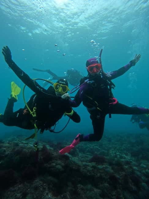 Sesimbra: Arrábida Marine Reserve Scuba Diving Experience - Instructor clarity tip: how to avoid the one common niggle