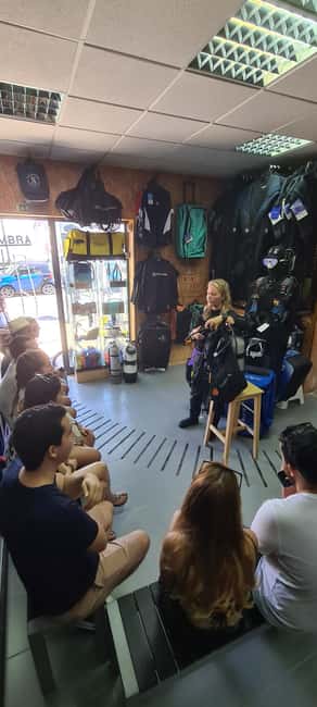 Sesimbra: First Scuba Diving Experience in the Ocean - Boat trip details: dolphins are a bonus, not a promise