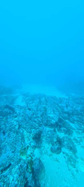 Sesimbra: First Scuba Diving Experience in the Ocean - Post-experience comfort: sweet on the boat, then shower and certificate