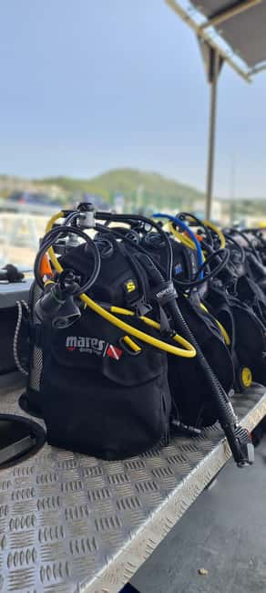 Sesimbra: First Scuba Diving Experience in the Ocean - Price and value: what $117 buys you (and why it feels fair)