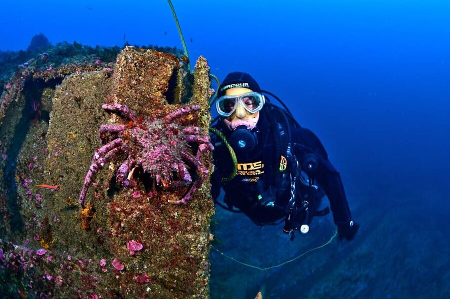 Sesimbra: Scuba Diving Experience for Beginners - Should you book the beginner scuba try in Sesimbra?