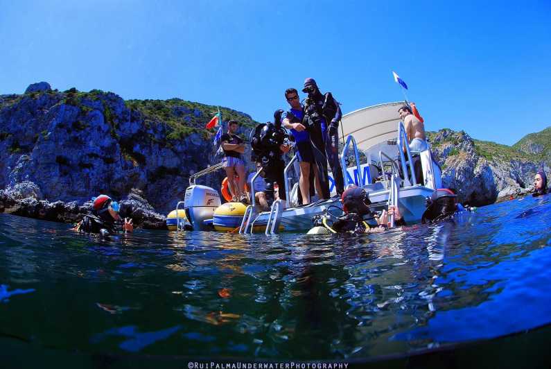 Sesimbra: Scuba Diving Experience for Beginners - Calm shallow water: why it’s the smart choice for beginners