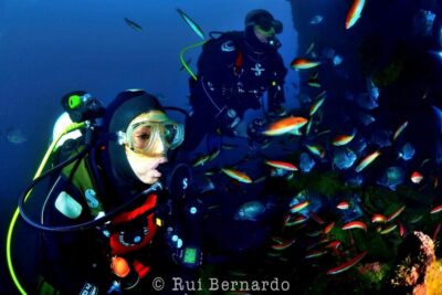 Sesimbra: Scuba Diving Experience for Beginners - What you actually do during the beginner scuba try