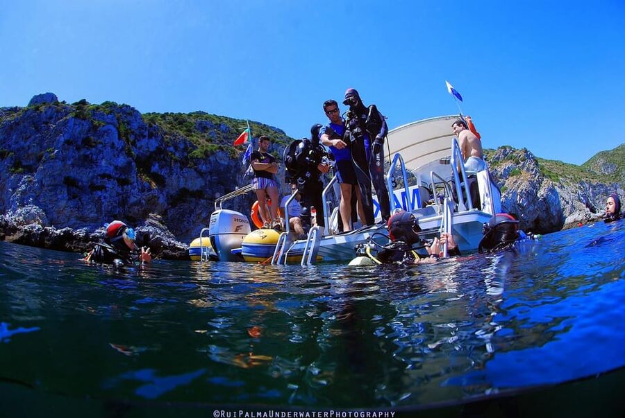 Sesimbra: Scuba Diving Experience for Beginners - The marine life you can enjoy without being a specialist