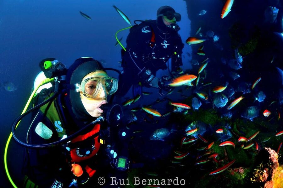 Sesimbra: Scuba Diving Experience for Beginners - What you actually do during the beginner scuba try