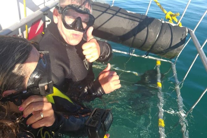 Shark Cage Diving - The cage system: how the floating setup works