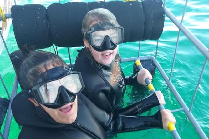 Shark Cage Diving - What your 3.5-hour outing looks like, step by step