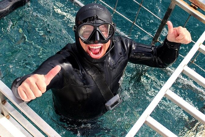 Shark Cage Diving and Viewing with transport from Hermanus - Wildlife you might spot: it’s more than sharks