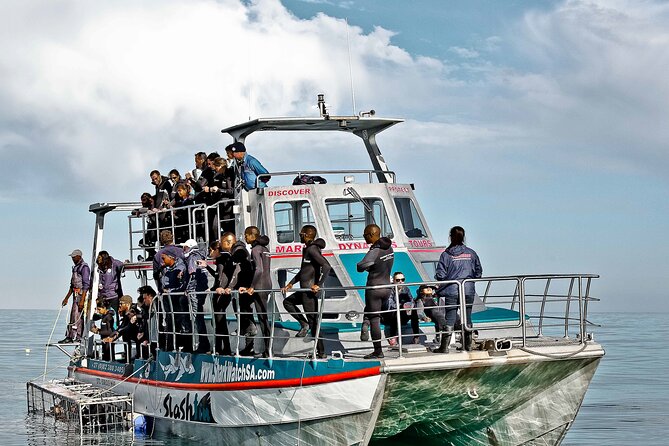 Shark Cage Diving and Viewing with transport from Hermanus - Price and value: why $234.50 can make sense here