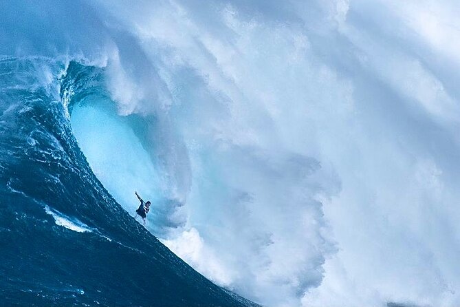 Shark Cage Diving On "The World Famous North Shore of Oahu", Hawaii - Price and value: is $100 per person worth it?