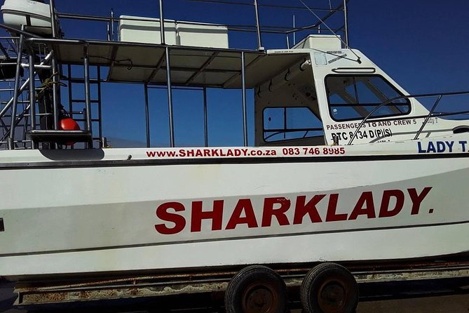 Shark Cage Diving - Surface viewing: why you should care that Great Whites feed up top