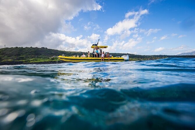 Shark-Dive Tour on Oahu's North Shore - Price and Value: Getting $135 Worth of Ocean Time